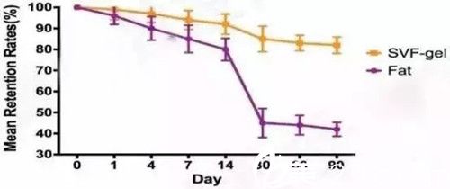 普通脂肪移植和SVF脂肪膠移植成活率對比