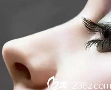 標(biāo)準(zhǔn)的美鼻形狀