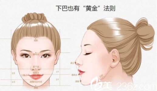 下巴黃金法則