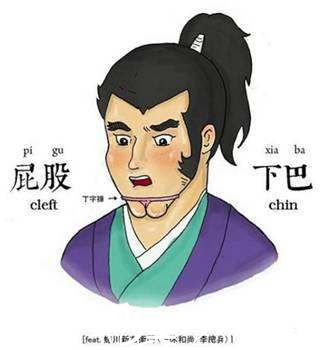 屁股下巴又叫美人溝