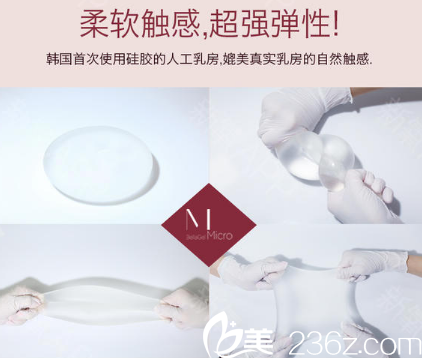 蓓菈納米假體豐胸材料 蓓菈納米假體豐胸材料