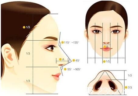 韓國AURORA 整形外科醫(yī)院假體隆鼻原理 韓國AURORA 整形外科醫(yī)院假體隆鼻原理