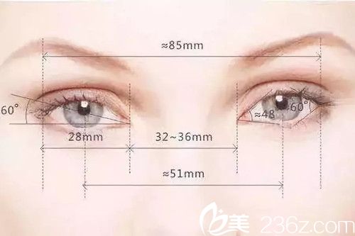 雙眼皮標(biāo)準(zhǔn)