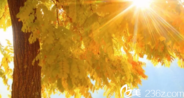 20181016_1539684612665793.png image.png