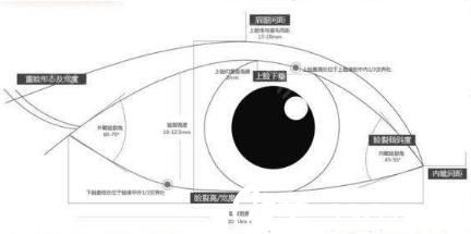 全切雙眼皮修復(fù)