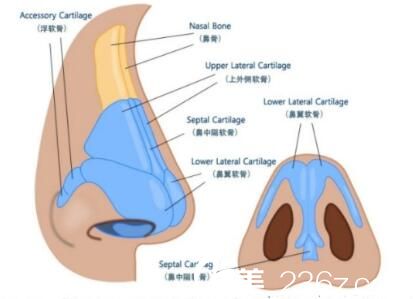 硅膠隆鼻好不好？