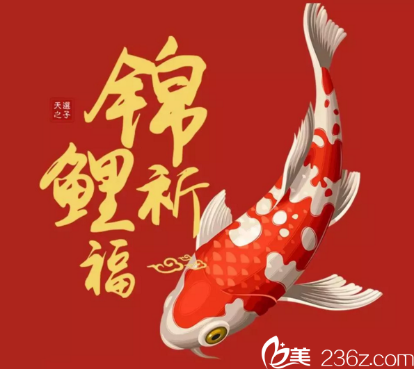 株洲韓美錦鯉祈福