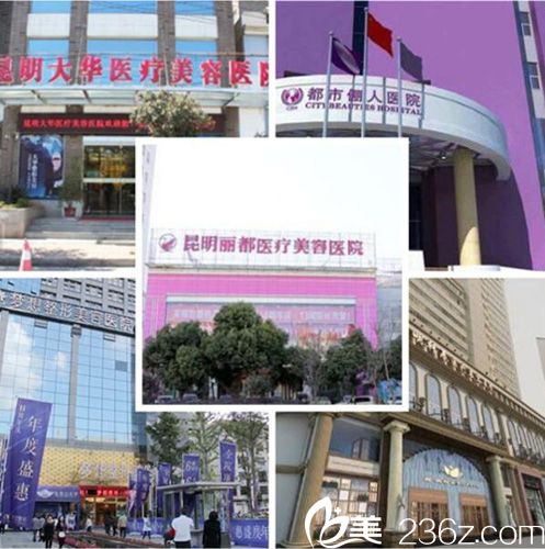 昆明排名前十的整形醫(yī)院