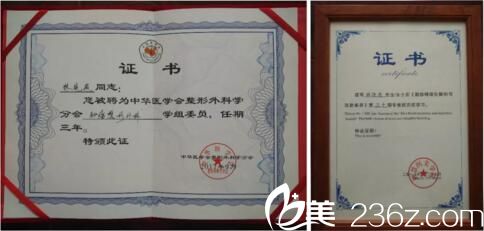 林曉燕個人榮譽證書 林曉燕個人榮譽證書