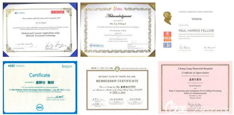 盧靜怡醫(yī)生所獲榮譽資質(zhì)