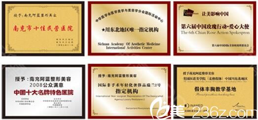 南充閬中阿藍(lán)所獲榮譽(yù)