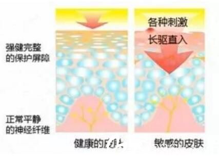正常皮膚與敏感肌的對(duì)比
