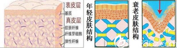 李雄艷講線(xiàn)雕提升原理 李雄艷講線(xiàn)雕提升原理