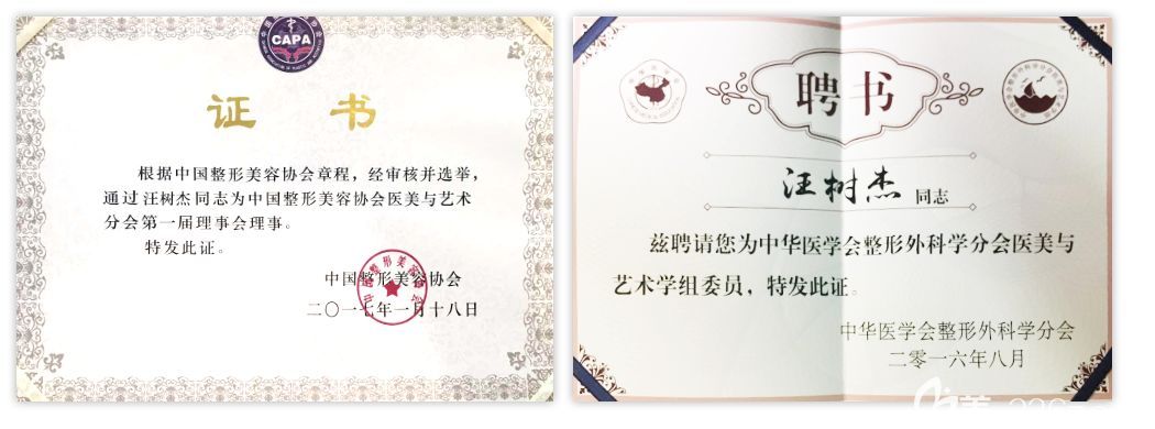 汪樹杰醫(yī)生獲得榮譽(yù)資質(zhì)證書 汪樹杰醫(yī)生獲得榮譽(yù)資質(zhì)證書