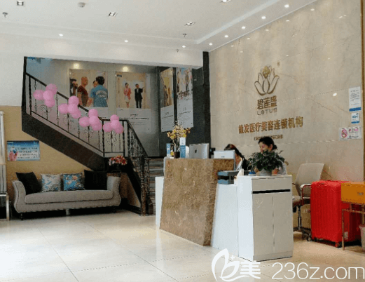 北京碧蓮盛前臺(tái)