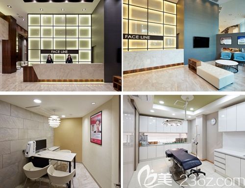 韓國FACE-LINE(菲斯萊茵)整形外科 韓國FACE-LINE(菲斯萊茵)整形外科