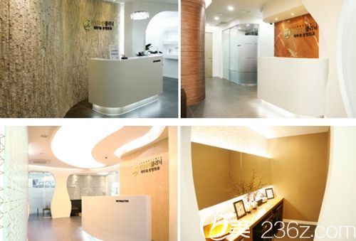 韓國清潭珠顏整形外科