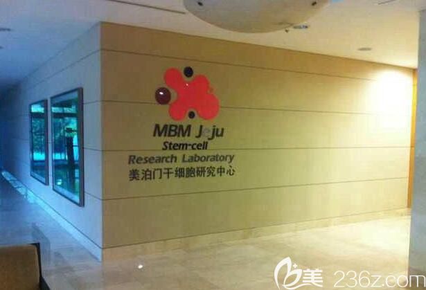 韓國美泊門成立研究 韓國美泊門成立研究