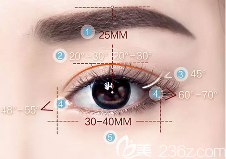 南充阿藍(lán)整形醫(yī)院眼部整形美學(xué)標(biāo)準(zhǔn)