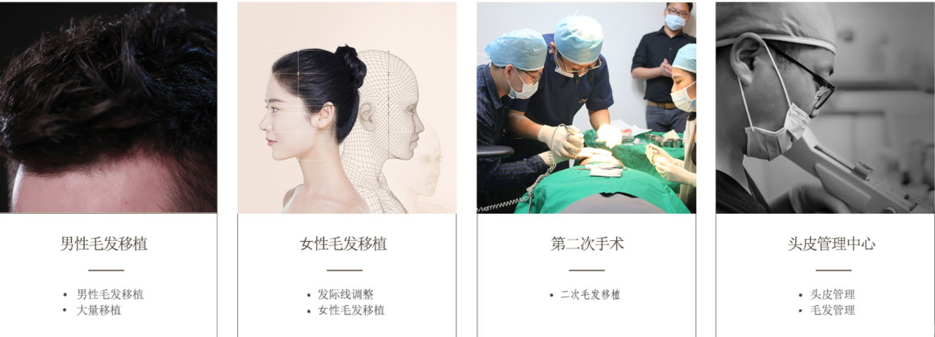 開設(shè)項目 開設(shè)項目