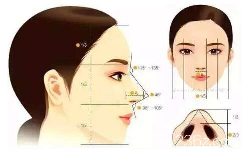 <!--<i data=20240703-sp></i>-->隆鼻哪家好？