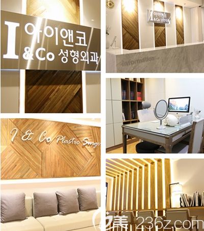 韓國ICo整形外科 韓國ICo整形外科