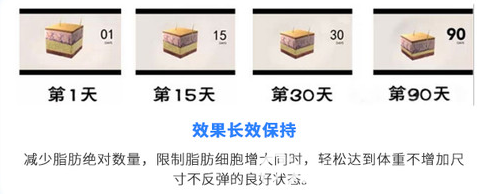 射頻溶脂恢復(fù)圖