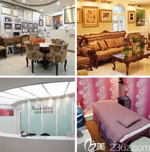 韓國(guó)(信所愛)克里姆特整容外科