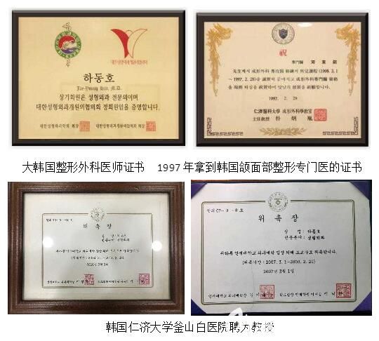 河東鎬榮譽 河東鎬榮譽