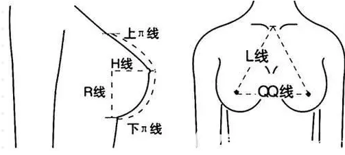 韓國狎鷗亭feel整形外科美胸標(biāo)準(zhǔn)