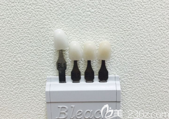 瓷貼面顏色 瓷貼面顏色