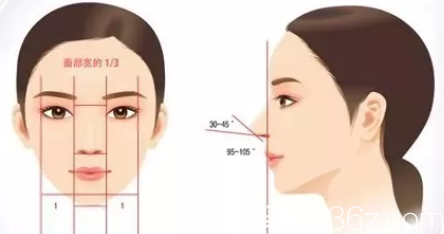 好看鼻子的美學(xué) 好看鼻子的美學(xué)