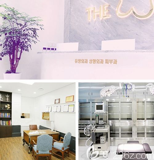 韓國thewclinic整形醫(yī)院 韓國thewclinic整形醫(yī)院