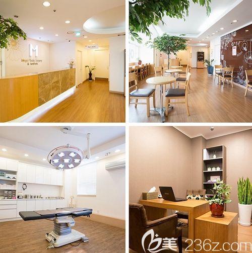 韓國Mega整形醫(yī)院外科 韓國Mega整形醫(yī)院外科