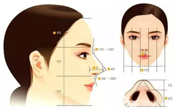 韓國BDMI整形醫(yī)院隆鼻手術(shù)美學(xué)