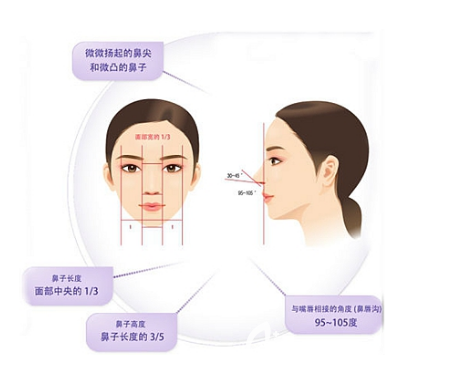 面部美學(xué)標(biāo)準(zhǔn) 面部美學(xué)標(biāo)準(zhǔn)