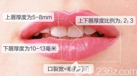 好看的唇部標(biāo)準(zhǔn)