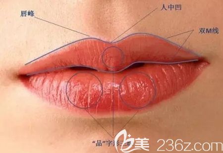 韓國(guó)微笑唇的美學(xué)