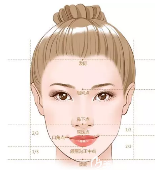 面部輪廓整形美學(xué)標(biāo)準(zhǔn) 面部輪廓整形美學(xué)標(biāo)準(zhǔn)