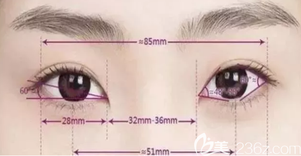眼睛美學(xué)標(biāo)準(zhǔn)