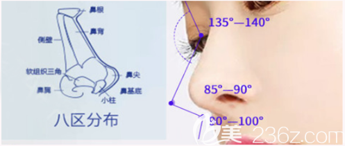 東莞壹加壹何敏醫(yī)生隆鼻特點 東莞壹加壹何敏醫(yī)生隆鼻特點