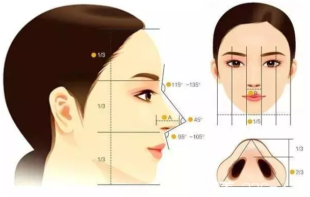 韓國三星夢隆鼻美學(xué)標(biāo)準(zhǔn) 韓國三星夢隆鼻美學(xué)標(biāo)準(zhǔn)