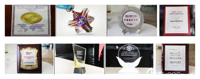 雅悅齒科所榮獲的部分榮譽獎杯