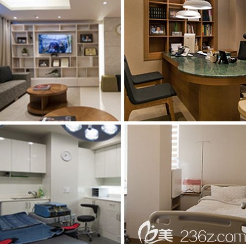 韓國李康元整形外科 韓國李康元整形外科