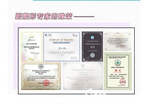 普瀟：所獲榮譽