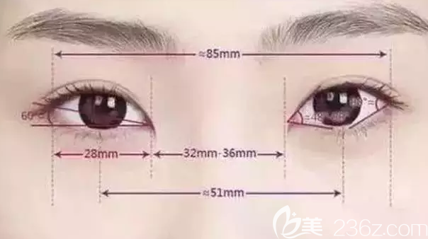 20190619_1560930074272699.png image.png