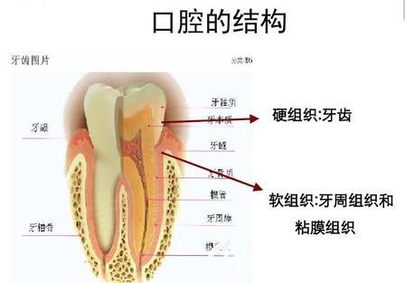 鄭州德正口腔劉杰彪主任介紹牙齒治療 鄭州德正口腔劉杰彪主任介紹牙齒治療