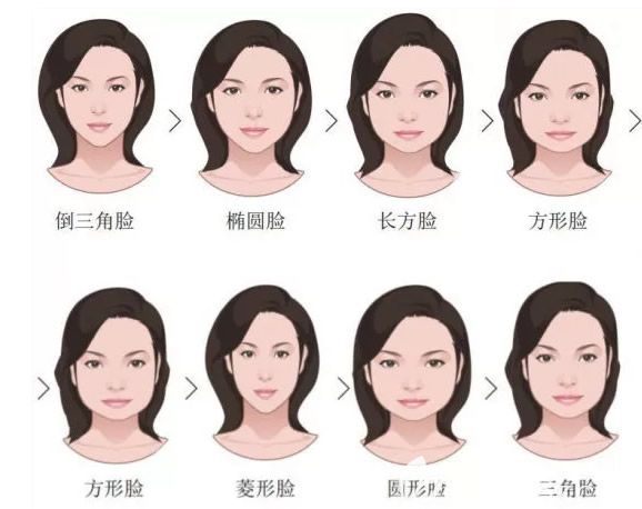 各種臉型示意圖
