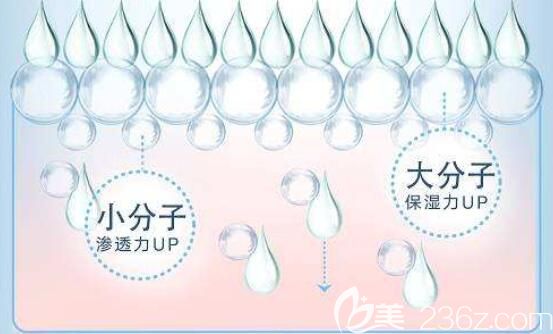 邵輝院長表示玻尿酸有大分子小分子之分 邵輝院長表示玻尿酸有大分子小分子之分