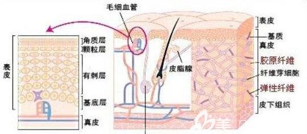激光祛痘幾天能掉完痂